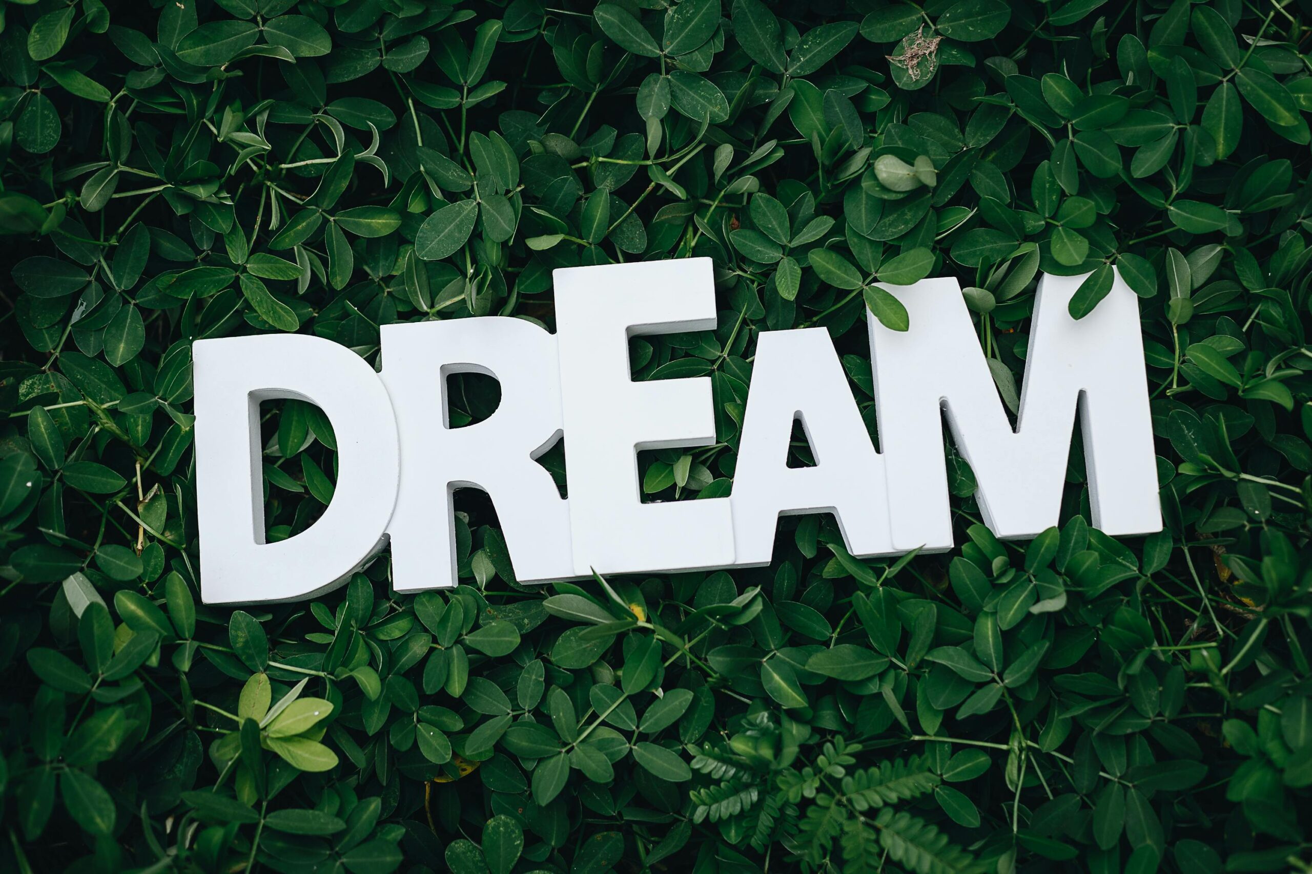 Where dreams turn into reality